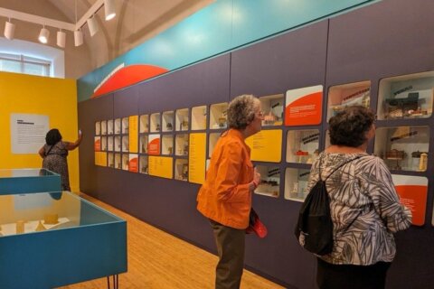 Women view exhibit at D.C.'s National Building Museum