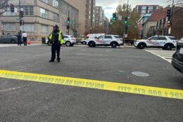 Police cars block off the D.C. crime scene