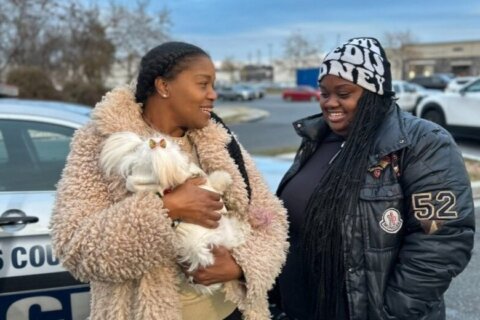 16-year-old Shih Tzu reunited with owner after being stolen during carjacking in Prince George’s Co.