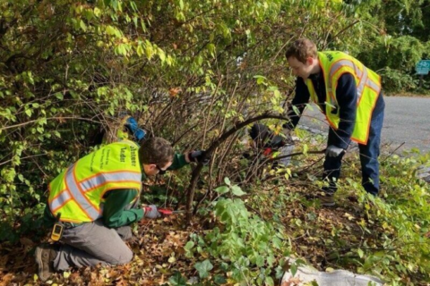 Happy trails: Volunteers tackle repairs along Mount Vernon Trail