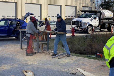 Linden Oak slabs draw hundreds to Montgomery Co. Urban Wood Sale