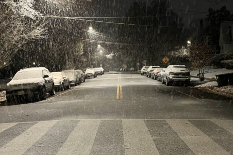 Snowfall totals from DC region’s unexpected winter weather