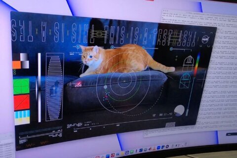 NASA uses laser to send video of a cat 19 million miles back to Earth