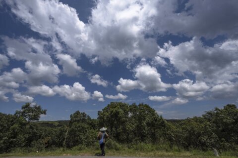 Indigenous faithful and Christians work with environmentalists to conserve India's sacred forests