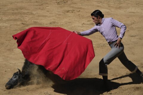 Bullfighting resumes in Mexico City before a full crowd while activists protest outside