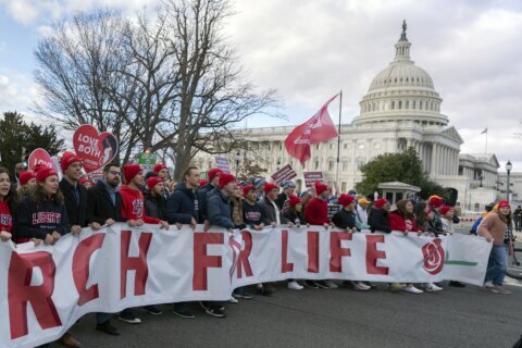 In snowy DC, the March for Life rallies against abortion with an eye toward the November elections