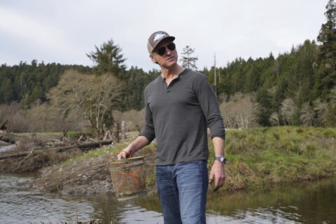 California Gov. Newsom backs dam removal projects to boost salmon. Critics say that’s not enough
