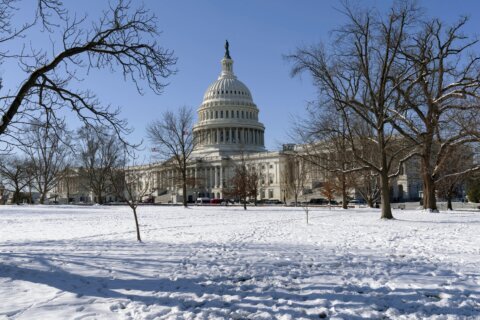 Congress votes to avert a shutdown and keep the government funded into early March