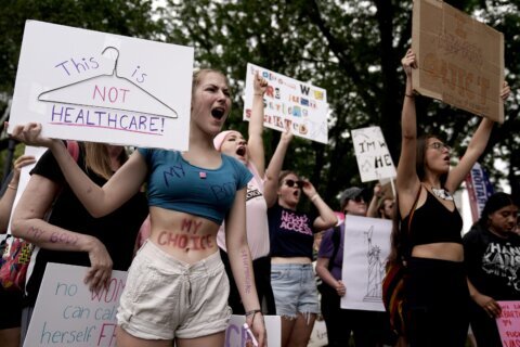 Why 'viability' is dividing the abortion rights movement