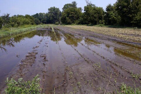 Small farmers hit by extreme weather could get assistance from proposed insurance program