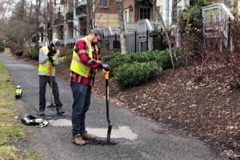 Volunteers start New Year by cleaning up Mount Vernon Trail