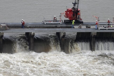 Lawsuit seeks to protect dolphins if flood-control spillway is used near New Orleans