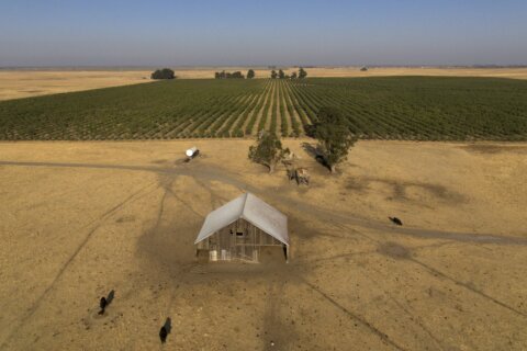 Billionaire backers of new California city seek voter approval after stealthily snapping up farmland