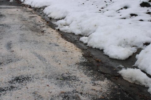 Snow, salt and rain makes the ‘perfect storm’ for pollutants to enter DC-area waterways