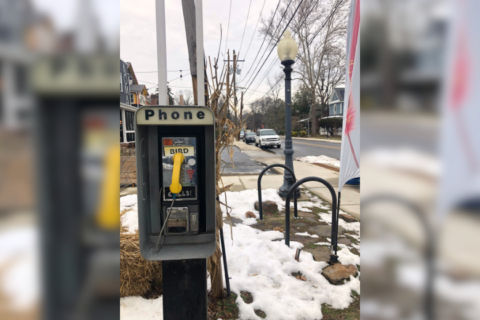 An unusual pay phone in Takoma Park only makes one kind of call — bird calls