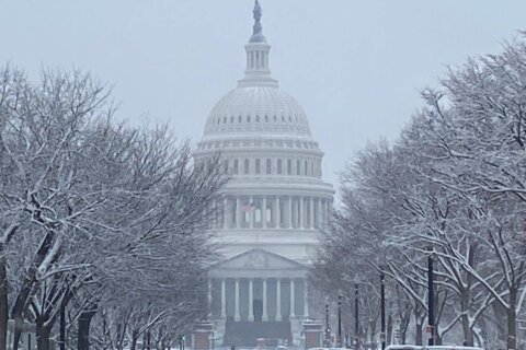 How much snow has fallen during DC-area’s 2nd winter wallop?