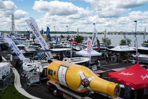 DC Boat Show returns to National Harbor this spring