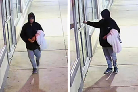 Fairfax Co. police seek suspects in string of shopping center burglaries