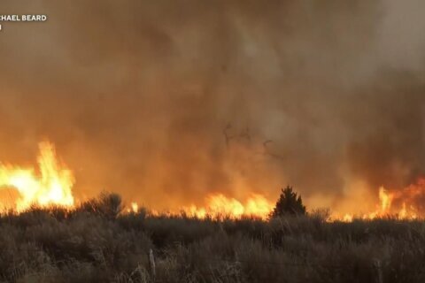 Firefighters face difficult weather conditions as they battle the largest wildfire in Texas history