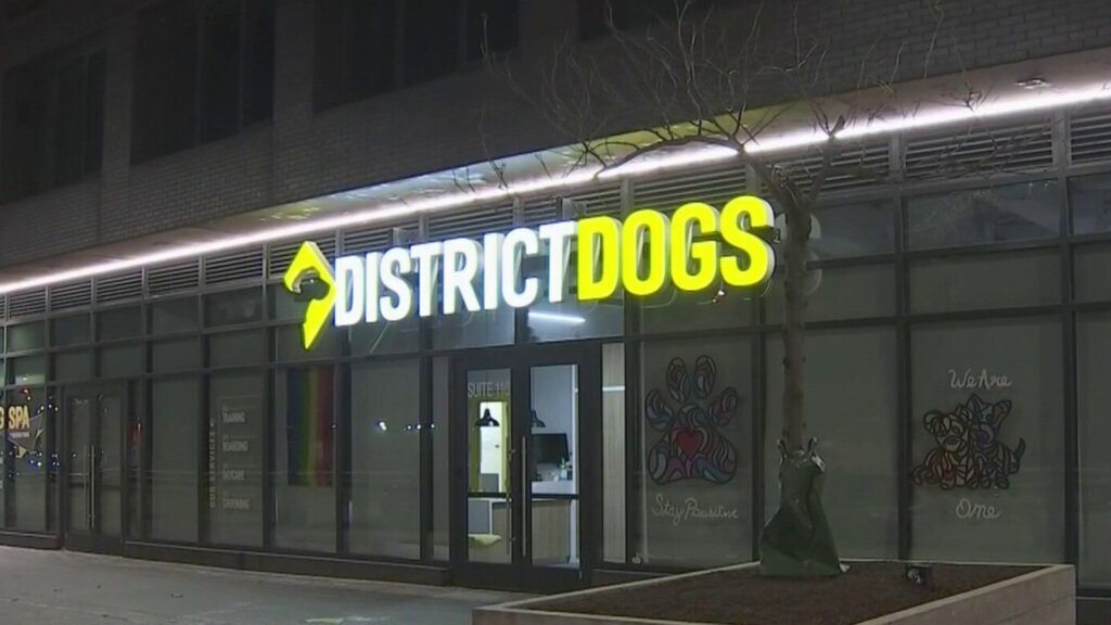Empleado de District Dogs habría golpeado y matado a un perro en la guardería de Navy Yard