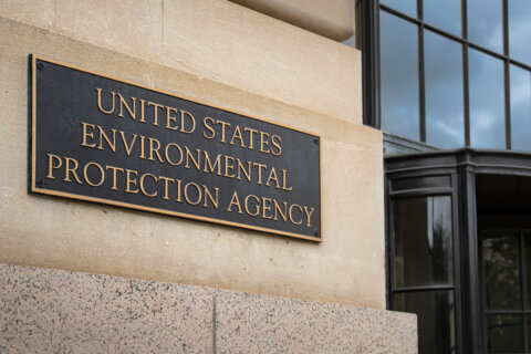 Protected: Chemical industry calls for congressional action as EPA struggles with backlog of new chemicals awaiting review