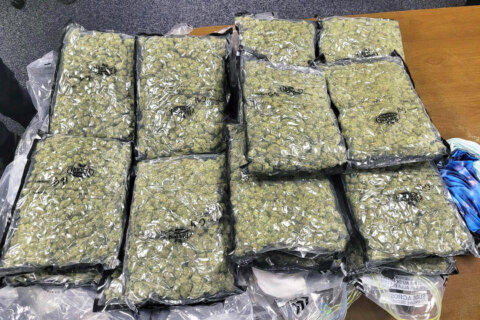 2 men arrested after over 70 pounds of marijuana found in suitcases at Dulles Airport