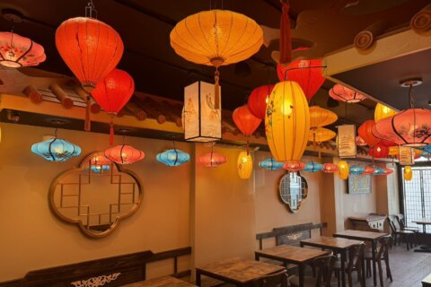 Han Palace brings dim sum and duck to Georgetown