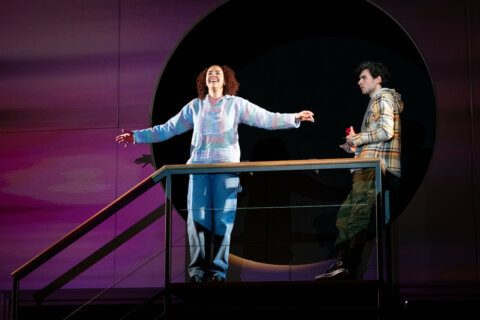Pulitzer Prize winner ‘Next to Normal’ returns to DC area at Round House Theatre in Bethesda