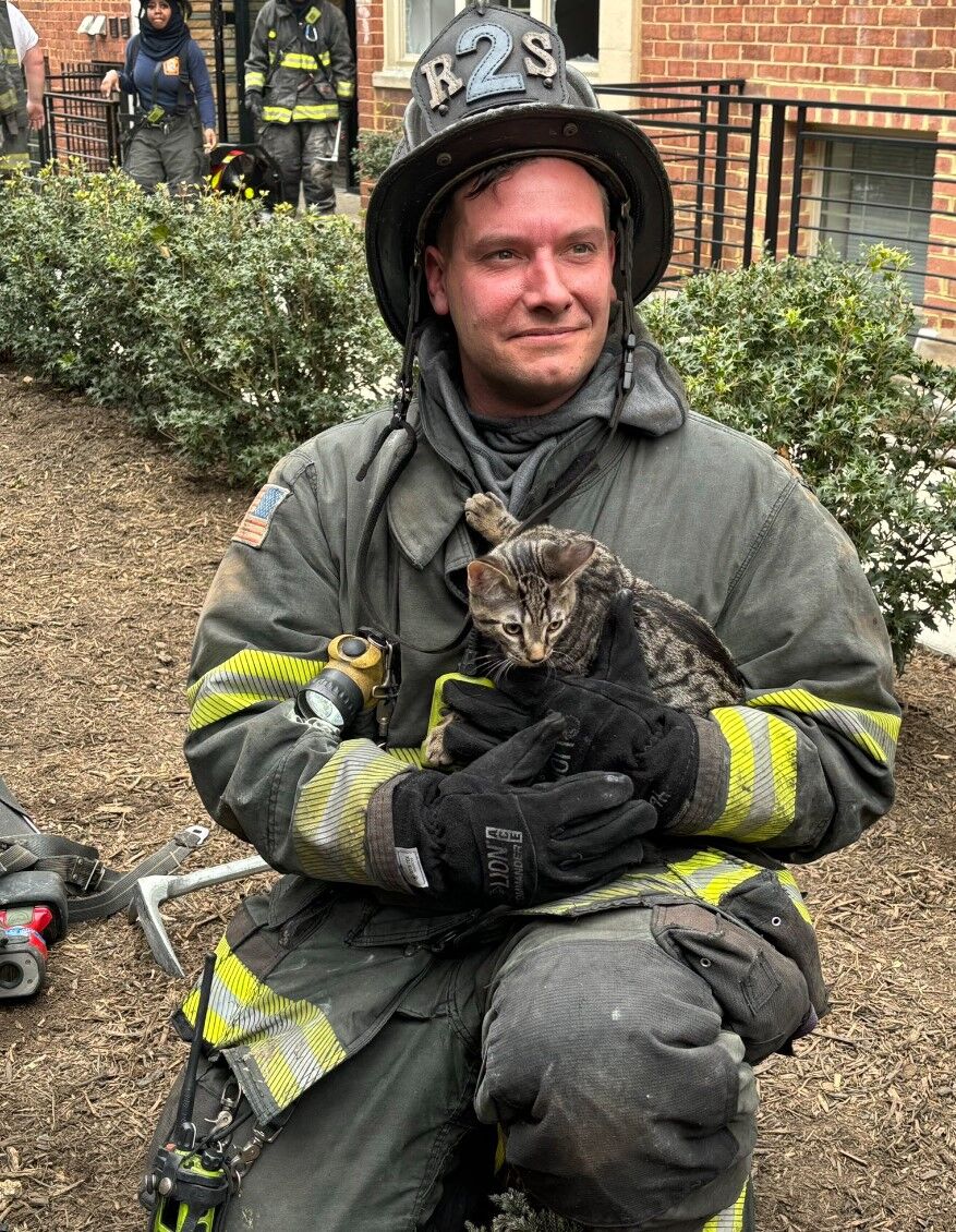 kitten and fireman