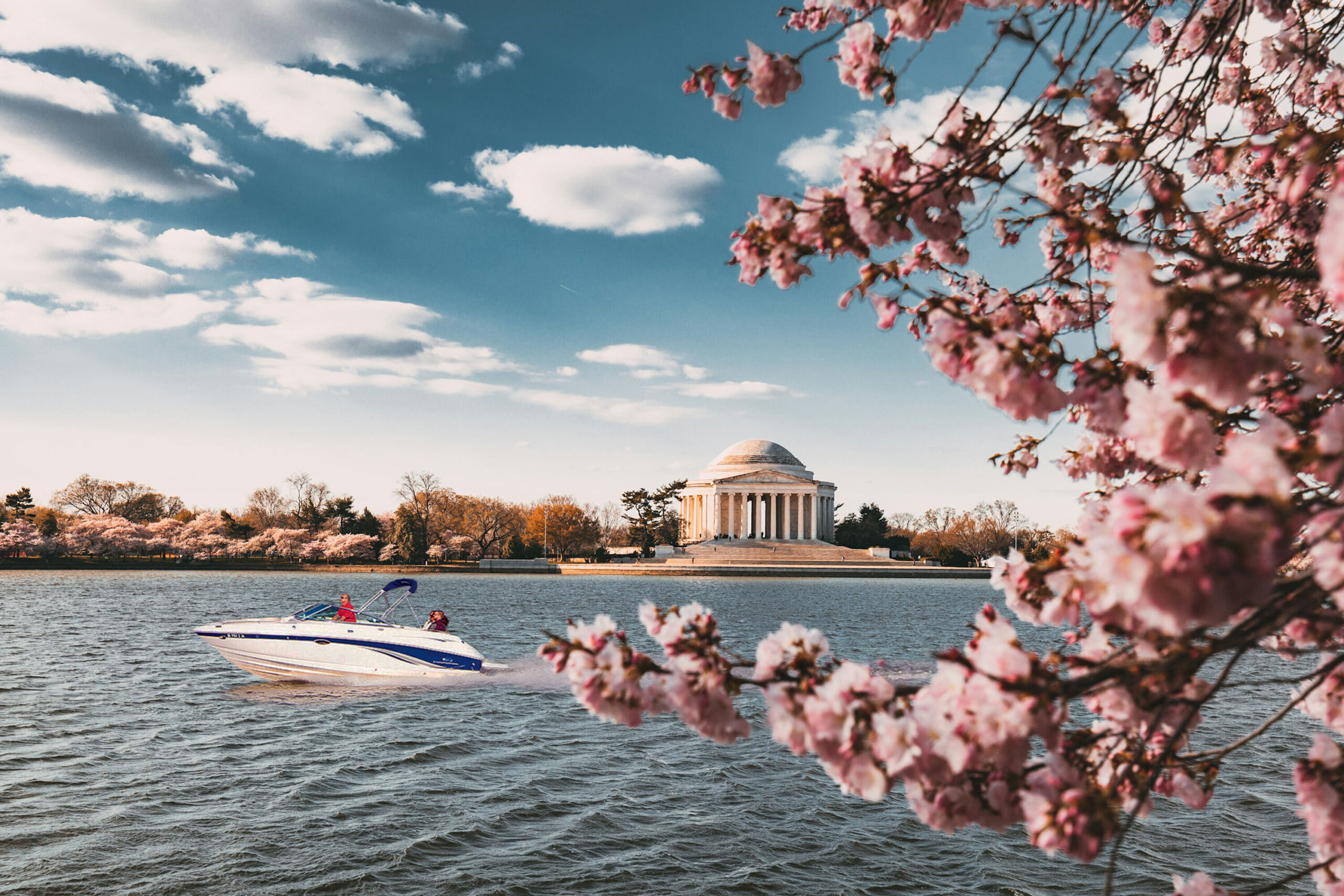 乘船欣赏华盛顿樱花的方法