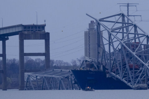 Previous accident, propulsion and mechanical issues reported in ship that hit Key Bridge