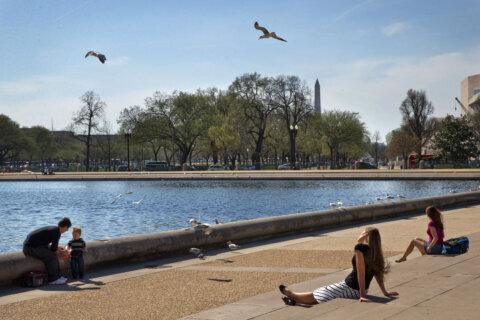 Could the DC area see a low-humidity, pleasant summer’s day on Thursday?