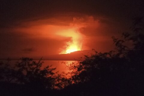 Volcano on uninhabited Galapagos island erupts, sends lava flowing to sea
