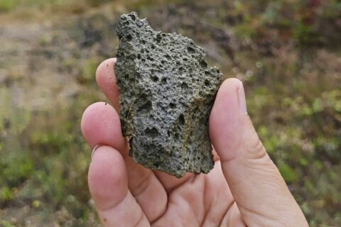 Ancient stone tools found in Ukraine date to over 1 million years ago, and may be oldest in Europe