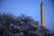 DC-area gives Spring the cold shoulder on chilly, breezy Monday morning