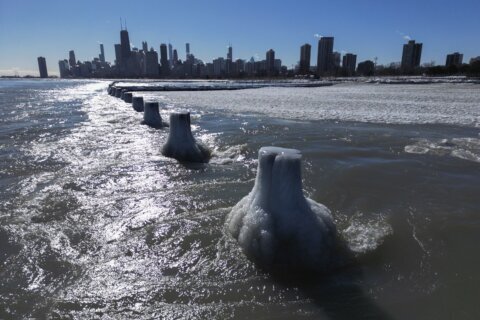 Fewer fish and more algae? Scientists seek to understand impacts of historic lack of Great Lakes ice