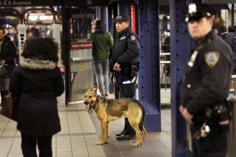New York City to send 800 more officers to police subway fare-beating