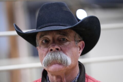 Texas Panhandle ranchers face losses and grim task of removing dead cattle killed by wildfires