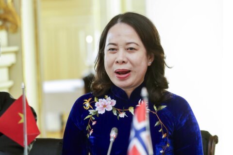 Vietnam’s vice president becomes interim president