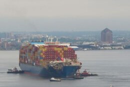 <p>Salvors working with the Key Bridge Response Unified Command refloated and moved the M/V Dali.</p>
