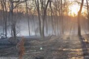 'Elevated fire danger' in Virginia, Maryland: Why brush fires are sparking and spreading