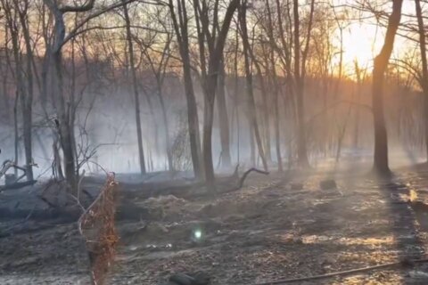 ‘Elevated fire danger’ in Virginia, Maryland: Why brush fires are sparking and spreading