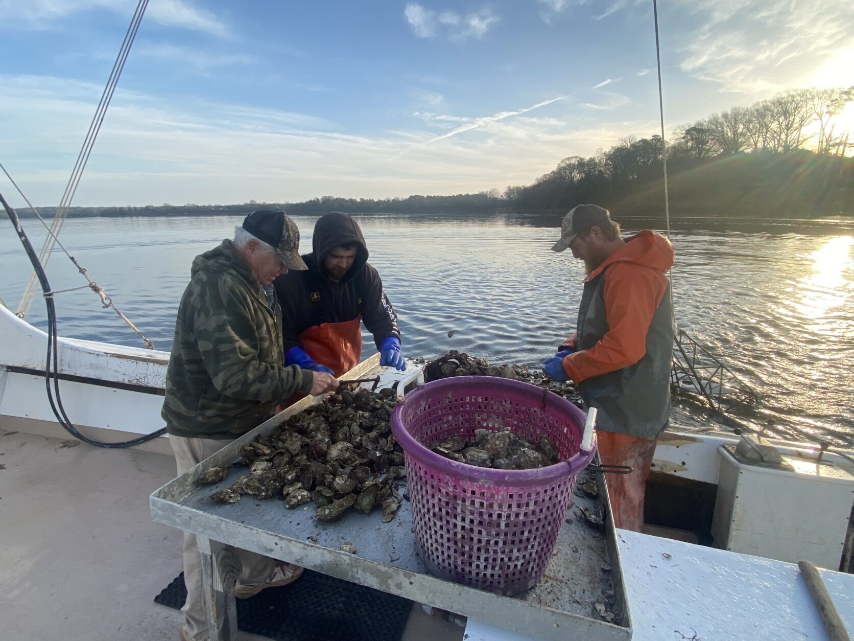 Three waterman work to harvest oysters.