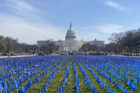 Why 27,400 blue flags are waving at the National Mall in DC