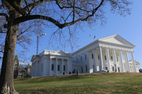 Virginia Senate returns to Richmond but fails to pass any bills