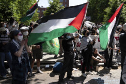 Protesters waiving Palestinian flags