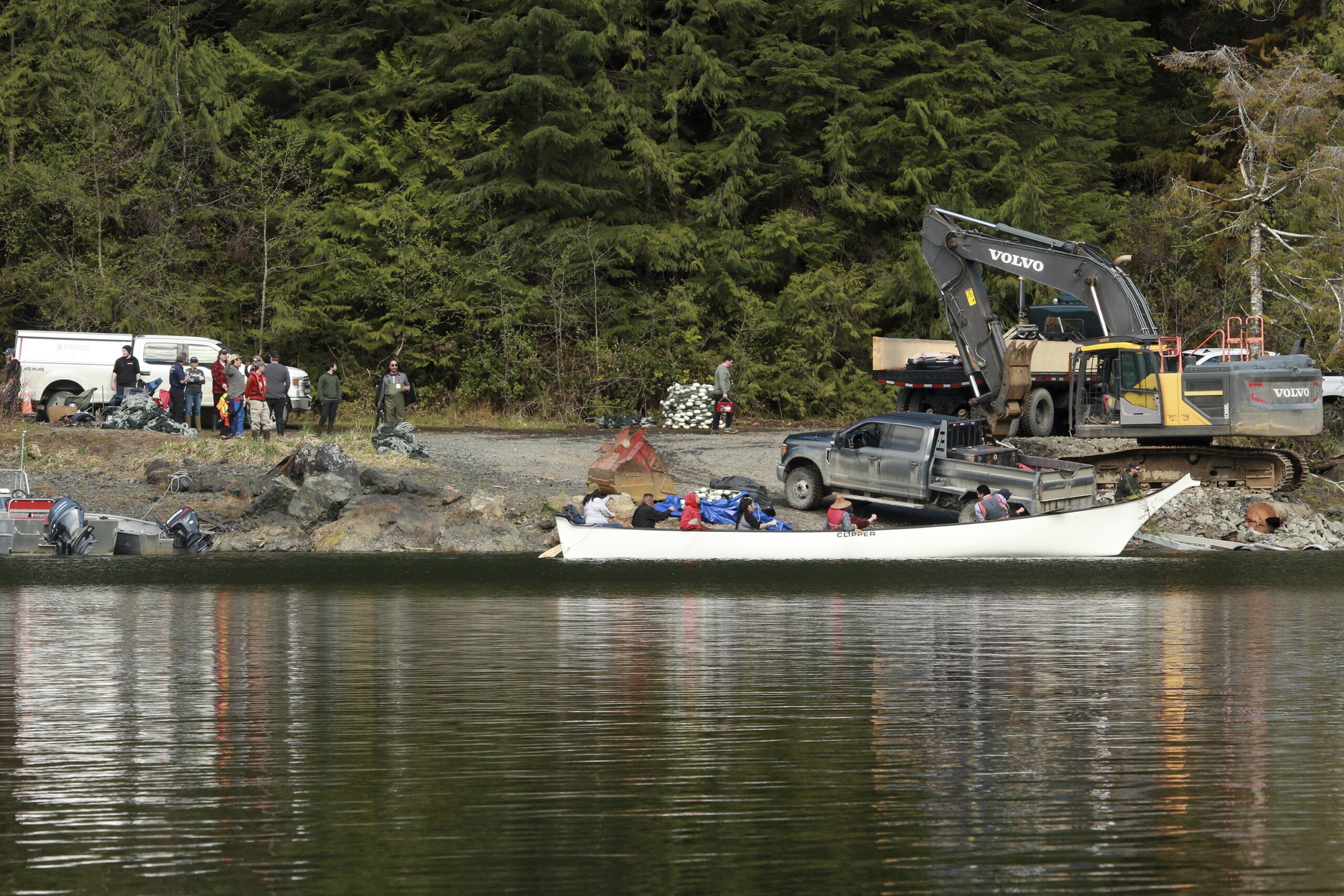 First attempt to catch orphaned orca calf in Canadian lagoon is ...