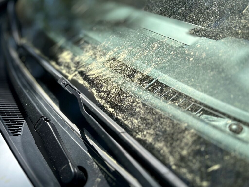 pollen on windshield