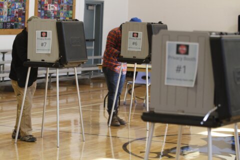 Judge sides with conservative group in its push to access, publish voter rolls online