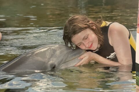 girl with dolphin